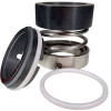 Gleitringdichtung für Pumpenwelle R-108U 55, SiC/SiC, PTFE, 304, T5F