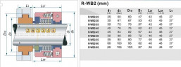 Mechanische PTFE-Balgdichtung R-WB2R 30, SiC/SiC, PTFE, 304