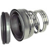 Gleitringdichtung R-BT-FN.NU 30, SIC/SIC, VITON, 304, G60