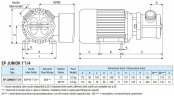 Vortexpumpe für Flüssigdünger LIVERANI EP JUNIOR 1 1/4 + BY-PASS, 58 l/min, TF/M, 0,56 kW, 2800 U/min, 380 V, AISI 316, Seal Cer.-Grafite-EPDM