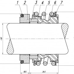 Gleitringdichtung für Pumpenwelle R-MG1 30, CAR/CER, EPDM, 304, G4