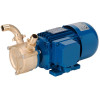 Marine-Wirbelpumpe LIVERANI EP 30 MP + BY-PASS, 75 l/min, CC/12 V, 0,75 kW, 1400 U/min, Bronze