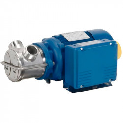 Flüssigkeitsringpumpe für Öl LIVERANI EP JUNIOR 1 1/4 + BY-PASS, 58 l/min, TF/M, 0,56 kW, 2800 U/min, 380 V, AISI 316, Seal Widia-SiC-Viton