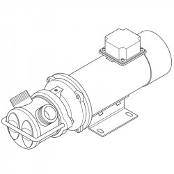 Vortexpumpe für Ölförderung LIVERANI EP JUNIOR 1 1/4 + BY-PASS, 58 l/min, CC/12 V, 0,45 kW, 2800 U/min, AISI 316, Seal Cer.-Grafit-NBR
