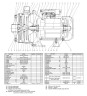 Pumpe Ebara 2CDX 70/12, 380V