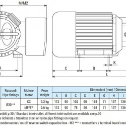 Vortexpumpe für Soleförderung LIVERANI EP JUNIOR 1 1/4 + BY-PASS, 58 l/min, CC/12 V, 0,45 kW, 2800 U/min, AISI 316, Cer.-Grafite-Epdm