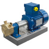 Marine-Wirbelpumpe LIVERANI GR ADPE SPECIAL 20, 29 l/min, TF 0,25 kW, 2800 U/min, 380 V, Ex, Bronze