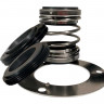 Doppelte Gleitringdichtung der Pumpe R-4702 30 mm Typ BURGMANN EA560D aus den Werkstoffen CAR/SIC/SIC/SIC, VITON, 304