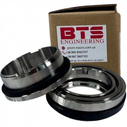 Mechanische Dichtung R-FL.S 60, TC/TC, VITON, 304 für FLYGT-Tauchentwässerungspumpen und -Mischer (3840307, 3840310)