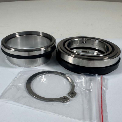 Mechanische Dichtung R-FL.S 60, TC/TC, VITON, 304 für FLYGT-Tauchentwässerungspumpen und -Mischer (3840307, 3840310)