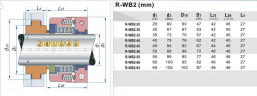Gleitringdichtung PTFE-Balg R-WB2T 45, SIC/SIC, PTFE, Typ 304 JOHN CRANE 10R, ANGA A11