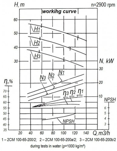 Abwasser- und Ölmediumpumpe 2CM 100-65-200/2, 30 kW, 3000 U/min (ohne Motor)