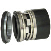 Gleitringdichtung für Pumpe R-2100N 55, CAR/SIC, VITON, 304