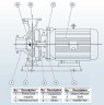 BGWH 80-160A (46,7/28), 7,5kW, 2880 Horizontal Edelstahlpumpe