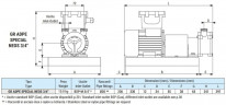 Flüssigkeitsringpumpe zum Fördern von Essig LIVERANI GR ADPE SPECIAL NEOS 3/4, 29 l/min, TF 0,25 kW, 2800 U/min, 380 V, Ex, AISI 316