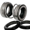 Doppelwellendichtung für WQ-Pumpe, Speroni R-208 40, SIC/SIC/SIC/SIC, VITON, 304, G9