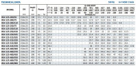 Konsolenpumpe für Bewässerung BS4 125-315/185 (200/23,3), 18,5 kW, 1450 ohne Motor