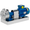 Wirbelpumpe für Soleförderung LIVERANI GR ADPE SPECIAL MASTER 2, 230 l/min, TF 1,5 kW, 1400 U/min, 380 V, Ex, AISI 316