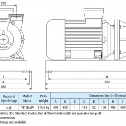 Flüssigkeitsringpumpe für Ölförderung LIVERANI EP 80 Inox, 900 l/min, TF/M, 15 kW, 1400 U/min, 380 V, AISI 316, Seal Widia-SiC-Viton