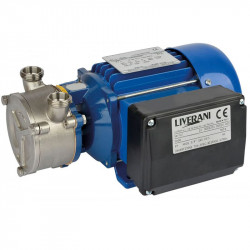 Vortexpumpe für Soleförderung LIVERANI EP NEOS 3/4, 29 l/min, TF/I 0,26 kW, 2800 U/min, 380B, AISI 316, Seal Cer.-Grafit-EPDM