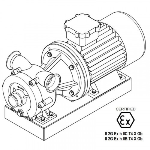 Wirbelpumpe für Sirupförderung LIVERANI GR ADPE NAUTIC 70 Inox, 500 l/min, TF 7,5 kW, 1400 U/min, 380 V, Ex, AISI 316