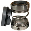 Gleitringdichtung für Pumpe R-1527 38, SiC/SiC, Viton, 304, T5S43