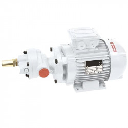 Zahnradpumpe zum Fördern von Fett LIVERANI GEAR 70-G TF 1,85 kW, 1400 U/min, 380 V