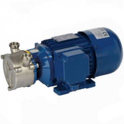 Vortexpumpe für Heizöl LIVERANI EP NEOS 3/4 MP, 29 l/min, CC/12V, 0,35 kW, 2800 U/min, AISI 316, Seal Cer.-Grafit-Viton