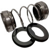 Doppelwellendichtung für Pumpe R-208 22, SIC/SIC/SIC/SIC, VITON, 304