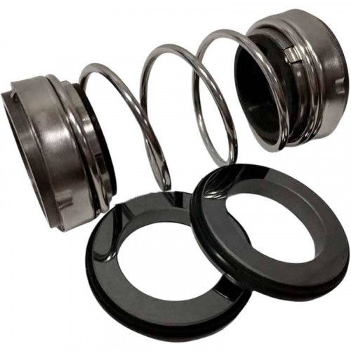 Doppelwellendichtung für Pumpe R-208 22, SIC/SIC/SIC/SIC, VITON, 304