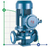 Pumpe für Dieselkraftstoff IRG BGLB 100-200(I) (160/50), 37kW, 2880 Ex