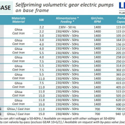 Zahnradpumpe zum Fördern von Seife, Shampoos und Gels LIVERANI GEAR BASE 100-G/M TF 3 kW, 1400 U/min, 380 V