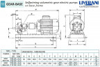 Zahnradpumpe zum Fördern von Rapsöl LIVERANI GEAR BASE 150-G TF 3 kW, 1400 U/min, 380 V