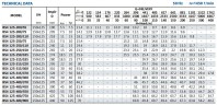 Konsolenpumpe für Kühlturm BSM4 125-200/110 (150/15,6), 11 kW, 1450