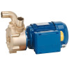 Wirbelpumpe zum Entleeren von Bilgen LIVERANI EP 20, 29 l/min, TF/I 0,26 kW, 2800 U/min, 380 V, Bronze