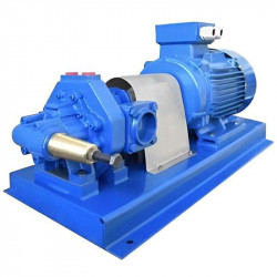 Zahnradpumpe zum Pumpen von Sonnenblumenöl LIVERANI GEAR BASE 250-G TF 4 kW, 1400 U/min, 380 V