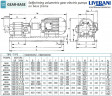 Zahnradpumpe zum Fördern von Sonnenblumen-, Raps- und Sojaöl LIVERANI GEAR BASE 250-G/M TF 7,5 kW, 1400 U/min, 380 V