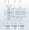BGWH 80-160 (I) B (86,6/24), 11kW, 2880 Horizontal Edelstahlpumpe