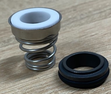 Austausch der Gleitringdichtung in einer DAB-Pumpe